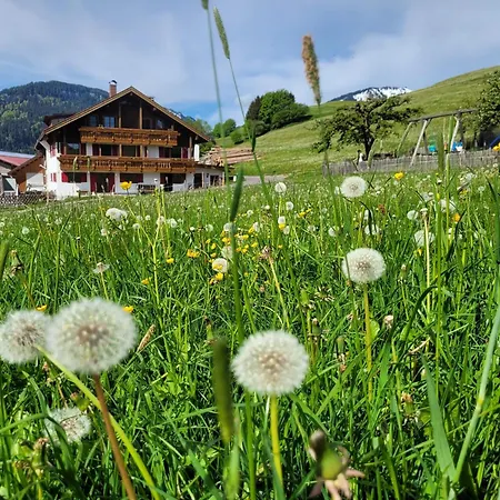 Lejlighed Naturgut Allgaeu Fischen im Allgaeu