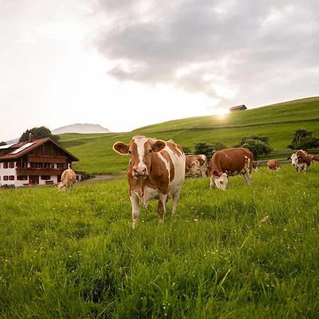 Naturgut Allgaeu Lejlighed Fischen im Allgaeu
