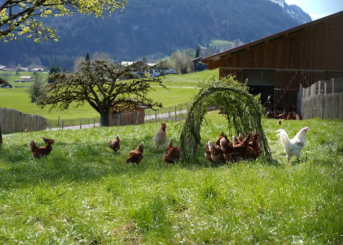 Naturgut Allgäu * Fischen im Allgäu