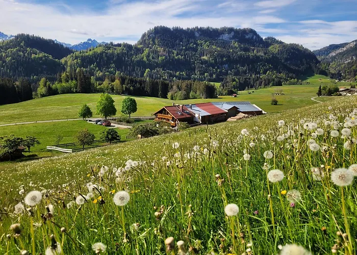 Naturgut Allgäu Fischen im Allgäu