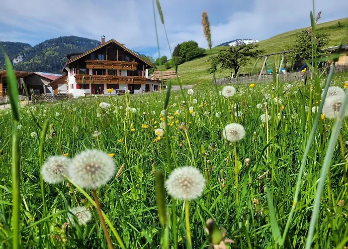 Apartment Naturgut Allgäu Fischen im Allgäu