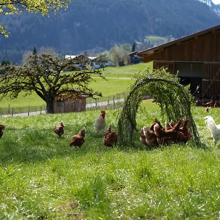 Naturgut Allgaeu * 피셴