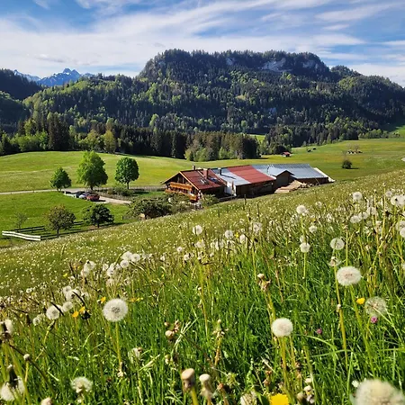 Naturgut Allgaeu Fischen im Allgaeu