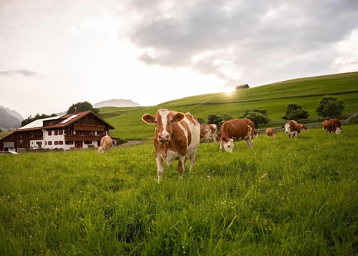 Naturgut Allgaeu Апартаменты Фишен